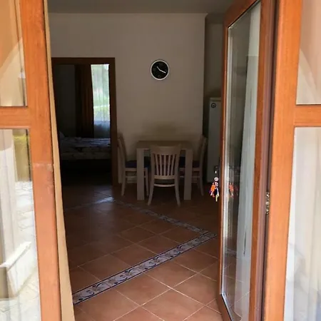 Case de vacanță Romana *